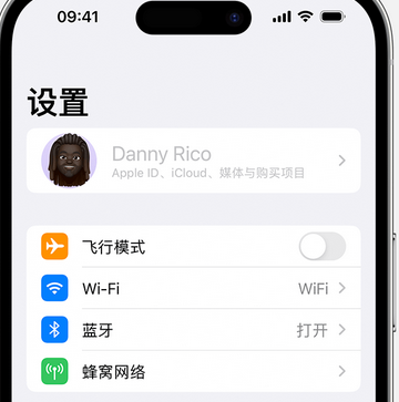 宝塔appleID维修服务iPhone设置中Apple ID显示为灰色无法使用 