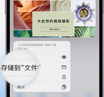 宝塔apple维修中心分享iPhone文件应用中存储和找到下载文件