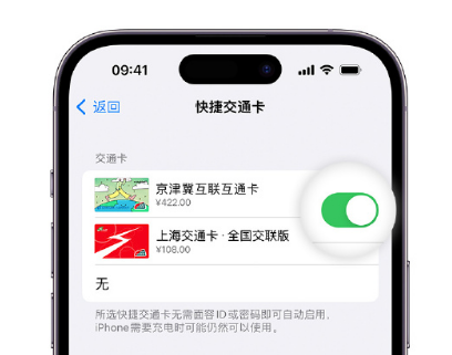 宝塔apple维修点分享iPhone上更换Apple Pay快捷交通卡手绘卡面 