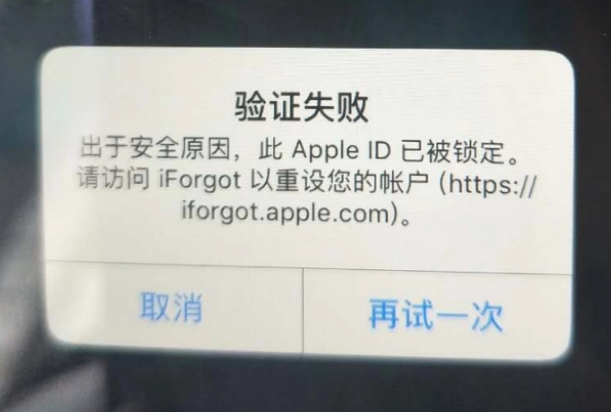 宝塔iPhone维修分享iPhone上正常登录或使用AppleID怎么办 