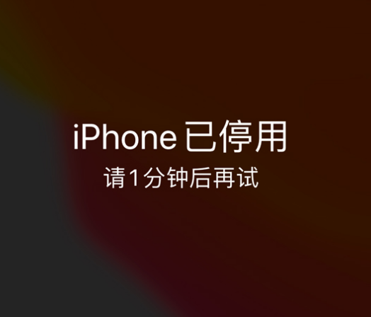 宝塔苹果手机维修分享:iPhone 显示“不可用”或“已停用”怎么办？还能保留数据吗？ 