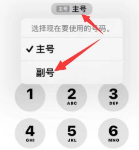 宝塔苹果14维修店分享iPhone 14 Pro Max使用副卡打电话的方法 