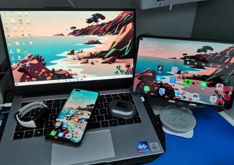 宝塔苹果手机维修分享为什么iPad屏幕更大价格却比iPhone低 
