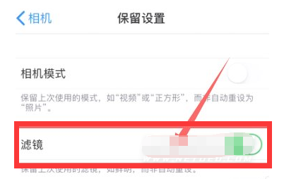 宝塔苹果13维修分享iPhone13拍照有绿点是怎么回事 