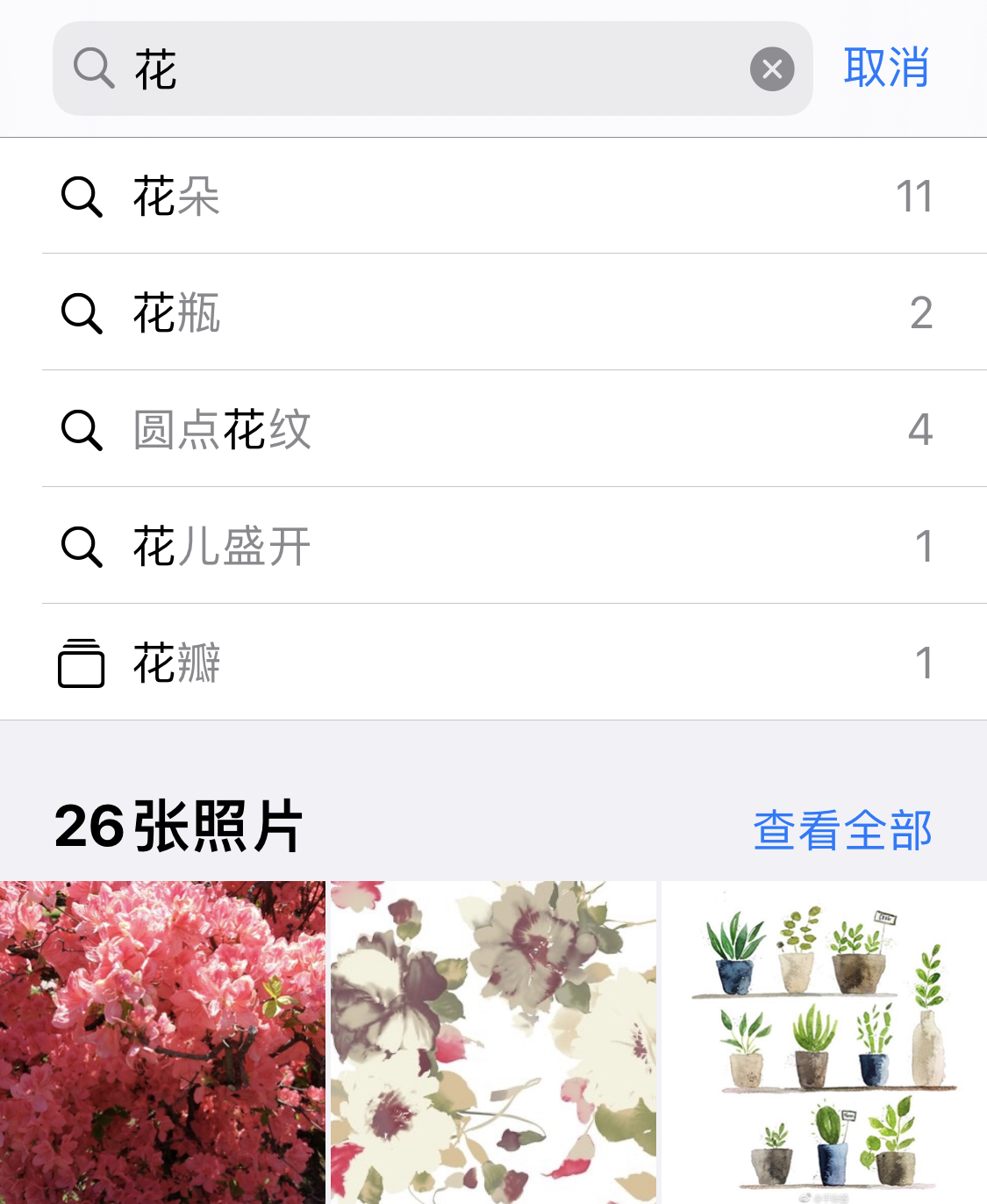 宝塔苹果手机维修分享iPhone 小技巧 