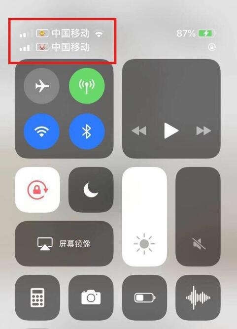 宝塔苹果手机维修分享为 iPhone 12 双卡设置标签 