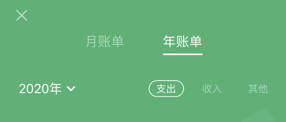 宝塔苹果手机维修分享如何在 iPhone 上查看支付宝和微信年支出账单 