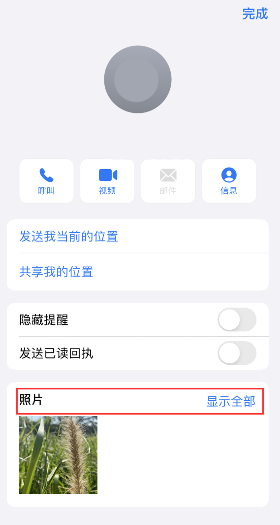 宝塔苹果手机维修分享如何快速查找 iMessage 信息中的图片等附件 