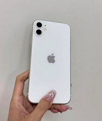 宝塔苹果维修点分享iPhone 11黑屏特殊场景解析 