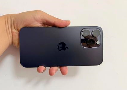 宝塔苹果维修点分享iPhone 14 Pro Max黑屏少见故障盘点 
