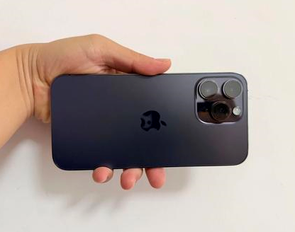 宝塔苹果维修点分享iPhone 14 Pro Max发烫多重诱因剖析 